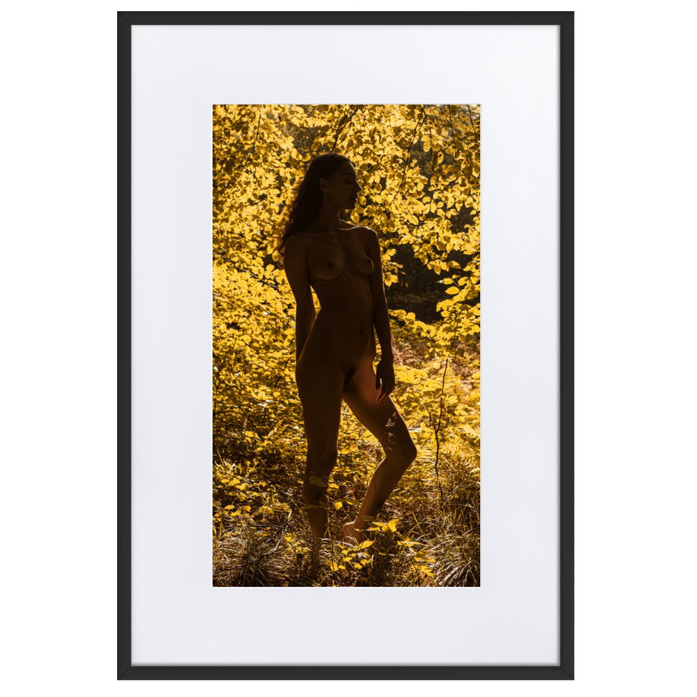 matte-paper-framed-poster-with-mat-(cm)-black-61x91-cm-transparent-660368ac6401f.jpg