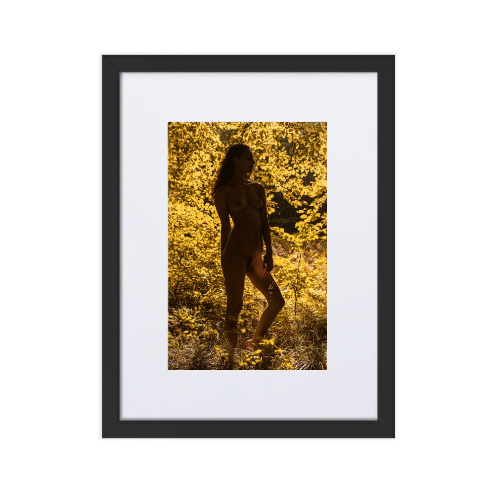 matte-paper-framed-poster-with-mat-(cm)-black-30x40-cm-transparent-660368ac656ca.jpg