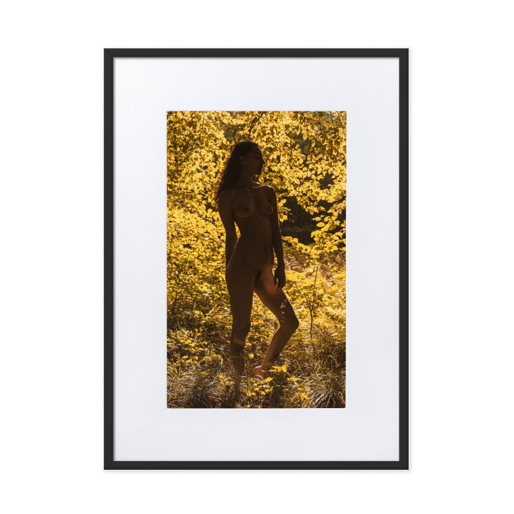 matte-paper-framed-poster-with-mat-(cm)-black-50x70-cm-transparent-660368ac65737.jpg