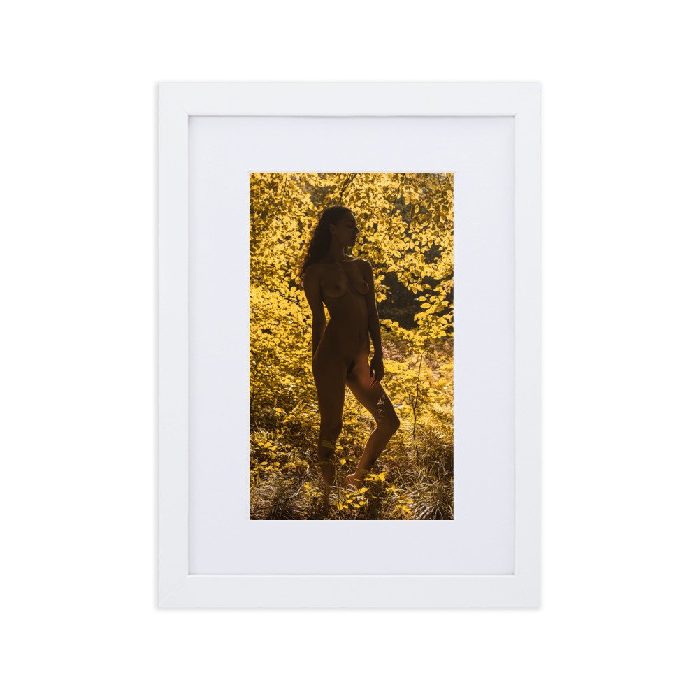 matte-paper-framed-poster-with-mat-(cm)-white-21x30-cm-transparent-660368ac657b9.jpg