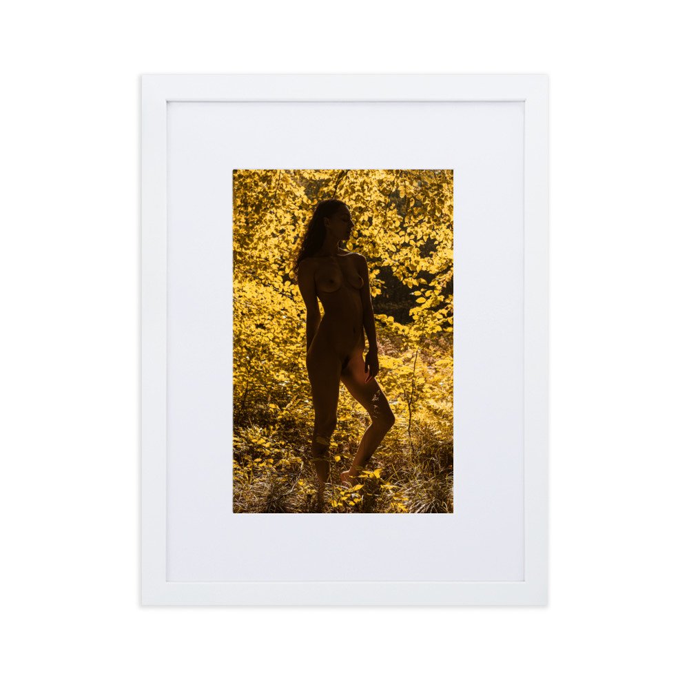 matte-paper-framed-poster-with-mat-(cm)-white-30x40-cm-transparent-660368ac65813.jpg