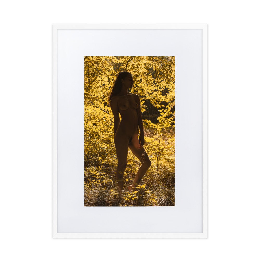 matte-paper-framed-poster-with-mat-(cm)-white-50x70-cm-transparent-660368ac6586e.jpg