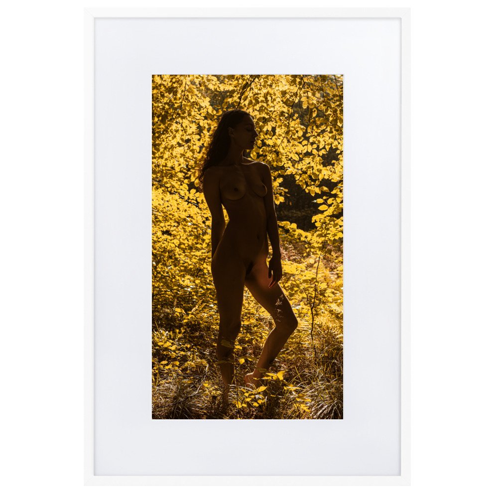 matte-paper-framed-poster-with-mat-(cm)-white-61x91-cm-transparent-660368ac658dc.jpg